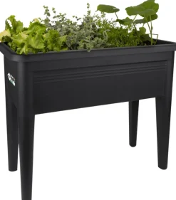 Intratuin Elho green basics Anzuchtkasten XXL schwarz| Anzuchtkästen & Mini-Gewächshäuser