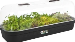 Intratuin Elho green basics Anzuchtschale schwarz 51,2 x 19,5 x 7,5 cm| Anzuchtkästen & Mini-Gewächshäuser