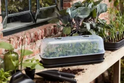 Intratuin Elho green basics Anzuchtschale schwarz 51,2 x 19,5 x 7,5 cm| Anzuchtkästen & Mini-Gewächshäuser