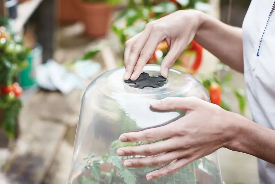 Intratuin Elho green basics Anzuchtkasten Deckel D 17 cm H 13,8 cm| Anzuchtkästen & Mini-Gewächshäuser