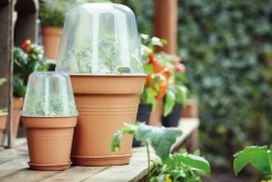 Intratuin Elho green basics Anzuchtkasten Deckel D 17 cm H 13,8 cm| Anzuchtkästen & Mini-Gewächshäuser