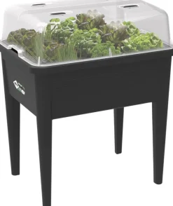 Intratuin Elho green basics Anzuchtkasten XXL schwarz 75,5 x 56,3 x 73,3 cm| Anzuchtkästen & Mini-Gewächshäuser