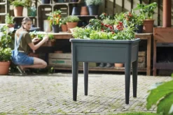 Intratuin Elho green basics Anzuchtkasten XXL schwarz 75,5 x 56,3 x 73,3 cm| Anzuchtkästen & Mini-Gewächshäuser