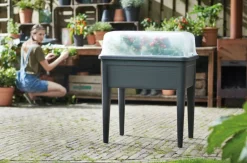 Intratuin Elho green basics Anzuchtkasten XXL schwarz 75,5 x 56,3 x 73,3 cm| Anzuchtkästen & Mini-Gewächshäuser