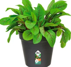 Intratuin Elho green basics Anzuchttopf D 19 H 17,5 cm schwarz| Anzuchttöpfe