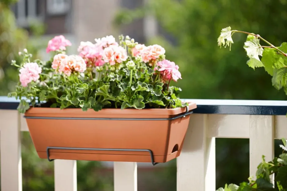 Intratuin Elho green basics Balkonkasten Barcelona terracotta 49,5 x 27,5 x 18,5 cm| Balkonkästen|Blumentöpfe & Pflanzgefäße