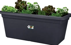 Intratuin Elho green basics Garten XXL Anzuchtkasten 60 cm schwarz| Anzuchtkästen & Mini-Gewächshäuser