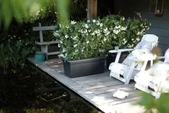 Intratuin Elho green basics Garten XXL Anzuchtkasten 60 cm schwarz| Anzuchtkästen & Mini-Gewächshäuser