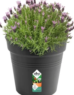 Intratuin Elho green basics Pflanztopf schwarz D 35 H 32,2 cm| Anzuchttöpfe