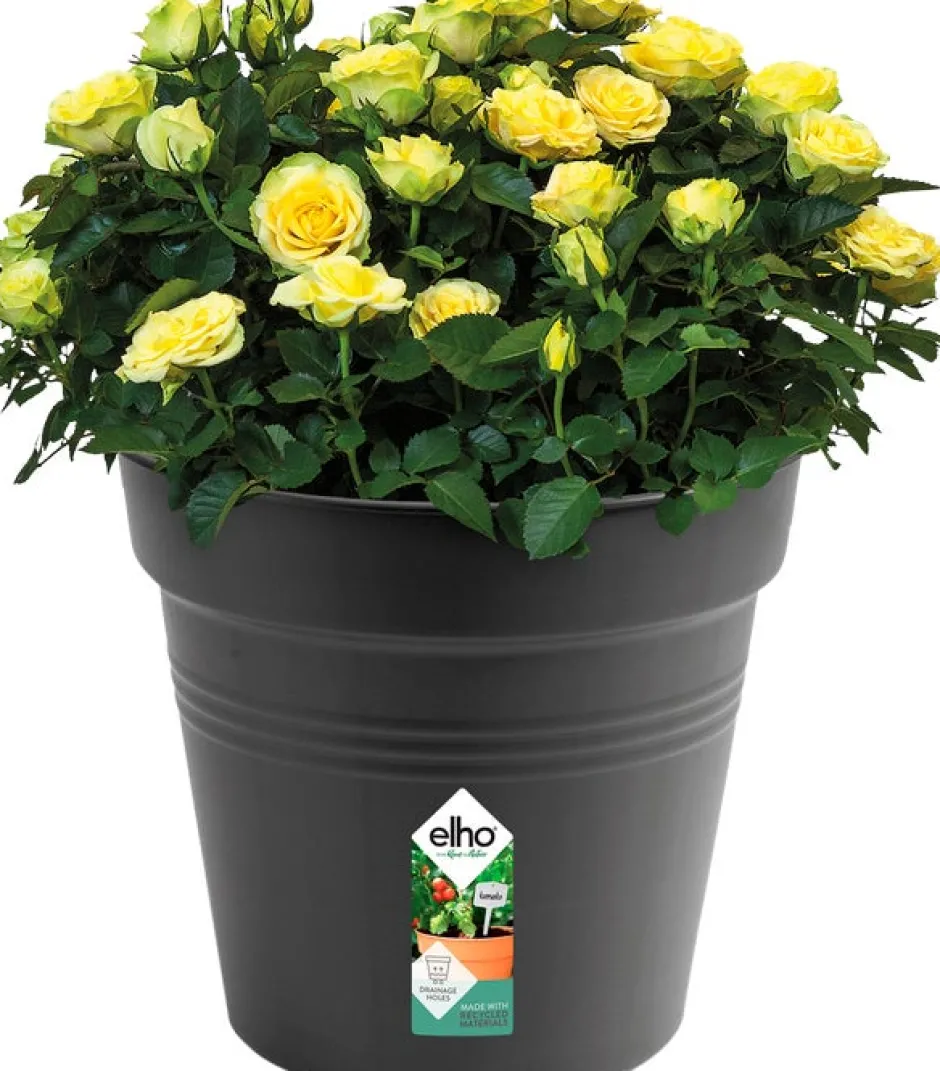 Intratuin Elho green basics Pflanztopf schwarz D 40 H 37 cm| Anzuchttöpfe