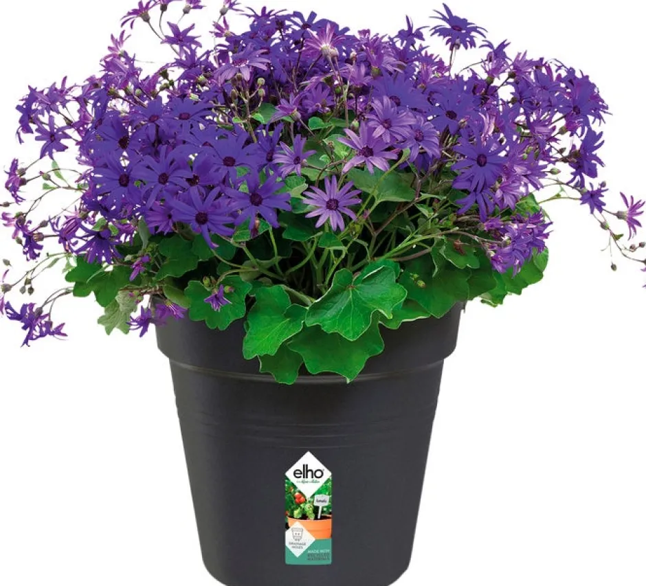 Intratuin Elho green basics Pflanztopf schwarz D 27 H 24,7 cm| Anzuchttöpfe