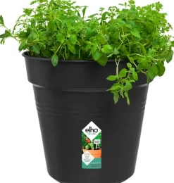 Intratuin Elho green basics Pflanztopf schwarz D 24 H 22,1 cm| Anzuchttöpfe