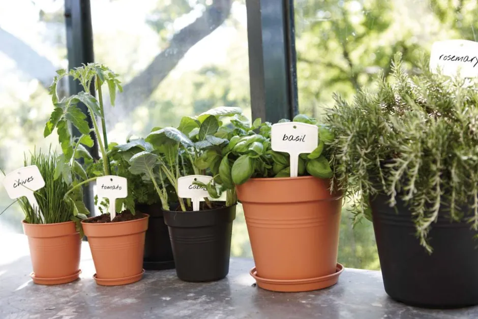 Intratuin Elho green basics Untersetzer D 29,3 H 4,2 cm schwarz| Untersetzer