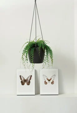 Intratuin Elho Hängeampel Brussels mit Schnur D 18,3 cm H 18 anthrazit| Blumenampeln & Hängetöpfe|Blumentöpfe & Pflanzgefäße