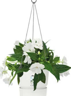 Intratuin Elho Hängetopf Greenville weiß D 23,9 H 20,3 cm| Blumenampeln & Hängetöpfe|Blumentöpfe & Pflanzgefäße