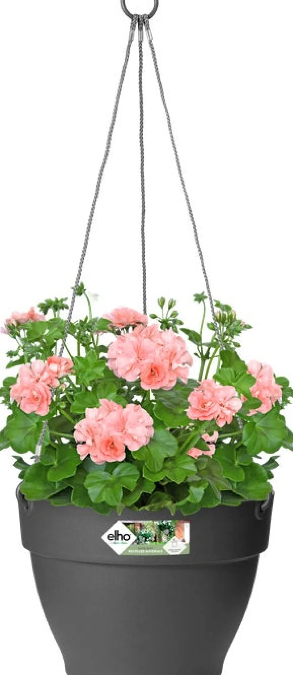 Intratuin Elho Hängetopf Vibia D 26 H 18 cm anthrazit| Blumenampeln & Hängetöpfe|Blumentöpfe & Pflanzgefäße