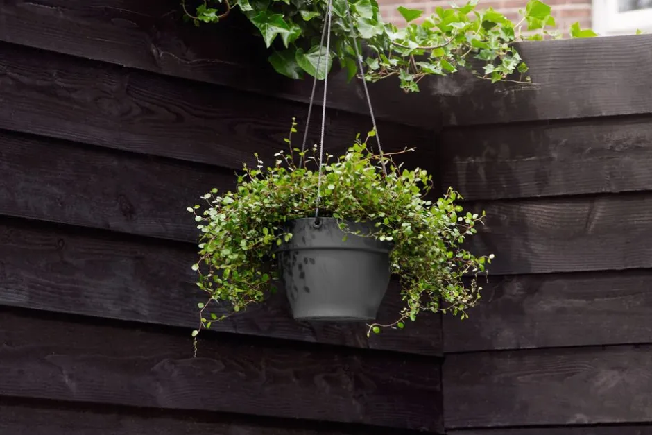 Intratuin Elho Hängetopf Vibia D 26 H 18 cm anthrazit| Blumenampeln & Hängetöpfe|Blumentöpfe & Pflanzgefäße