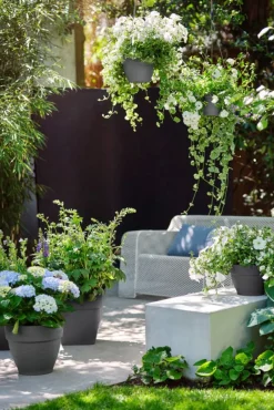 Intratuin Elho Hängetopf Vibia D 26 H 18 cm anthrazit| Blumenampeln & Hängetöpfe|Blumentöpfe & Pflanzgefäße