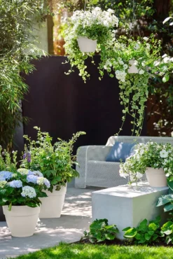 Intratuin Elho Hängetopf Vibia weiß D 26 H 18 cm| Blumenampeln & Hängetöpfe|Blumentöpfe & Pflanzgefäße