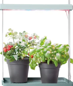 Intratuin Elho Pflanzenlampe Light Garden grün 44,3 x 27 x 7,8 cm| Pflanzenlampen