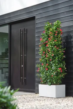 Intratuin Elho Pflanzkübel Vivo 39 x 78 x 37,5 cm weiß| Pflanzkübel|Pflanzkübel & Blumenkübel