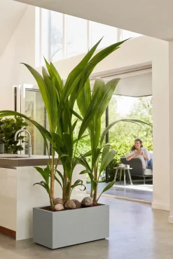 Intratuin Elho Pflanzkübel Vivo 39 x 78 x 37,5 cm grau| Pflanzkübel|Pflanzkübel & Blumenkübel