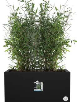 Intratuin Elho Pflanzkübel Vivo 39 x 78 x 37,5 cm schwarz| Pflanzkübel|Pflanzkübel & Blumenkübel