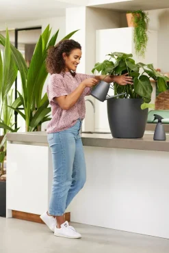 Intratuin Elho Pflanzensprüher Brussels anthrazit 0,7 l 11,5 x 8,9 x 22,9 cm| Gießen & Bewässerung|Drucksprüher & Pflanzensprüher