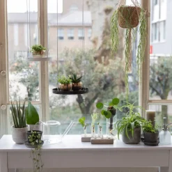 Intratuin Esschert Design Gießkanne 1,5 l transparent| Gießen & Bewässerung|Gießkannen