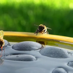 Intratuin Esschert Design Trinkschale für Bienen und Schmetterlinge gelb D 27 H 8 cm| Gartenvögel|Insektenhotels