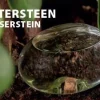 Intratuin Esschert Design Wasserspender 10 x 7 x 7 cm| Gießen & Bewässerung|Gießkannen