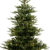 Intratuin Everlands künstlicher Weihnachtsbaum Grandis Fir H 210 cm met LED Beleuchtung warmweiß| Künstliche Weihnachtsbäume