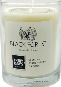 Intratuin Everydays by Duftkerze Black Forest weiß 43 Std. D 7,9 H 9,5 cm| Kerzen Im Glas|Duftkerzen