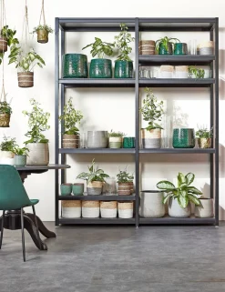 Intratuin Everydays by Pflanzkorb Celestial naturell / weiß D 6,5 H 6,5 cm| Pflanzkörbe|Pflanzkörbe