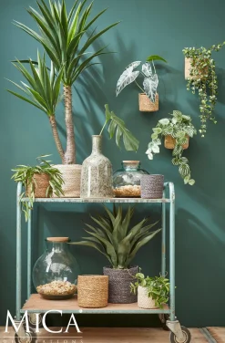 Intratuin Everydays by Pflanzkorb Atlantic Natur D 12 cm H 12 cm| Pflanzkörbe|Pflanzkörbe