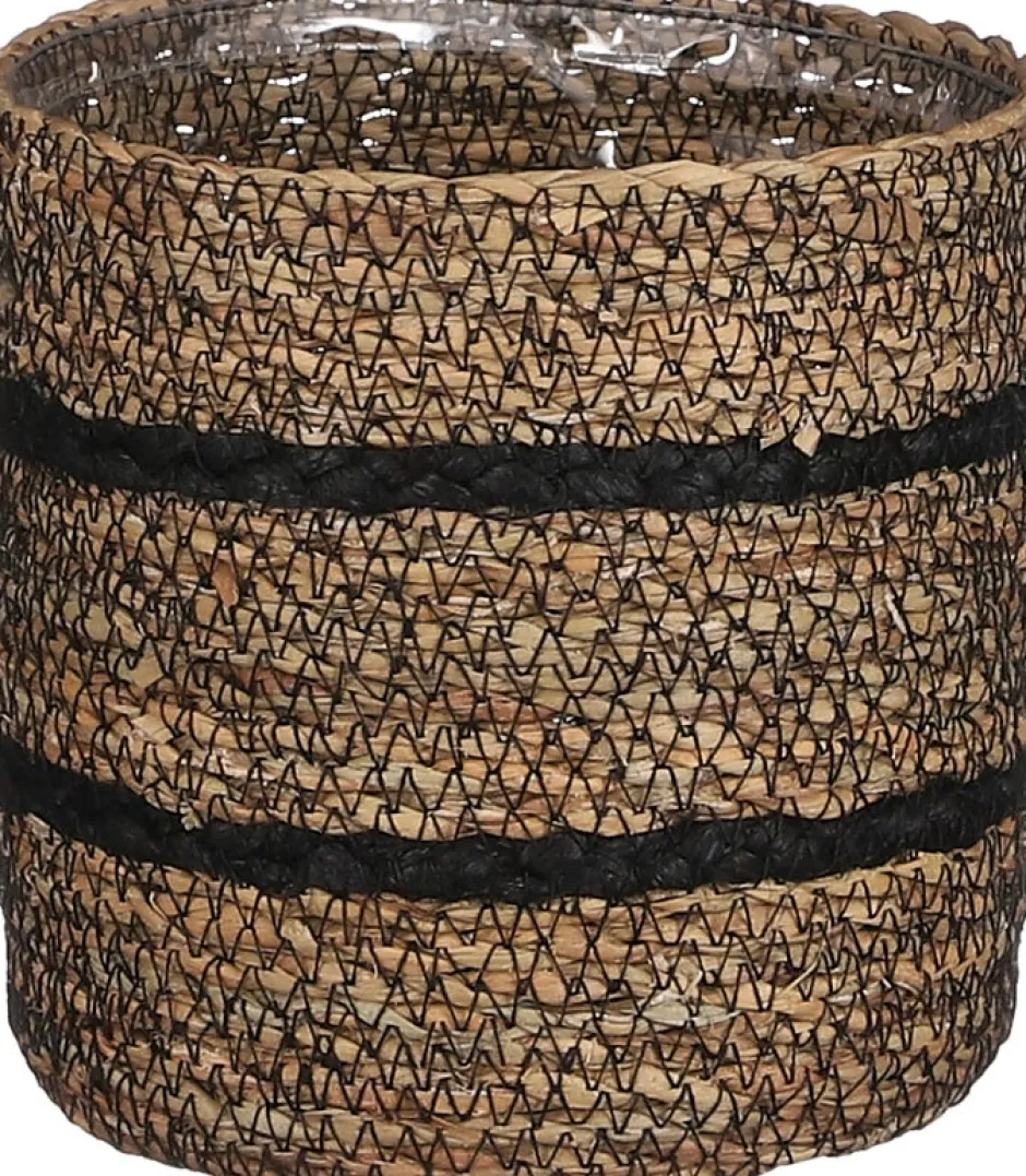 Intratuin Everydays by Pflanzkorb Celestial schwarz D 6,5 H 5,5 cm| Pflanzkörbe|Pflanzkörbe