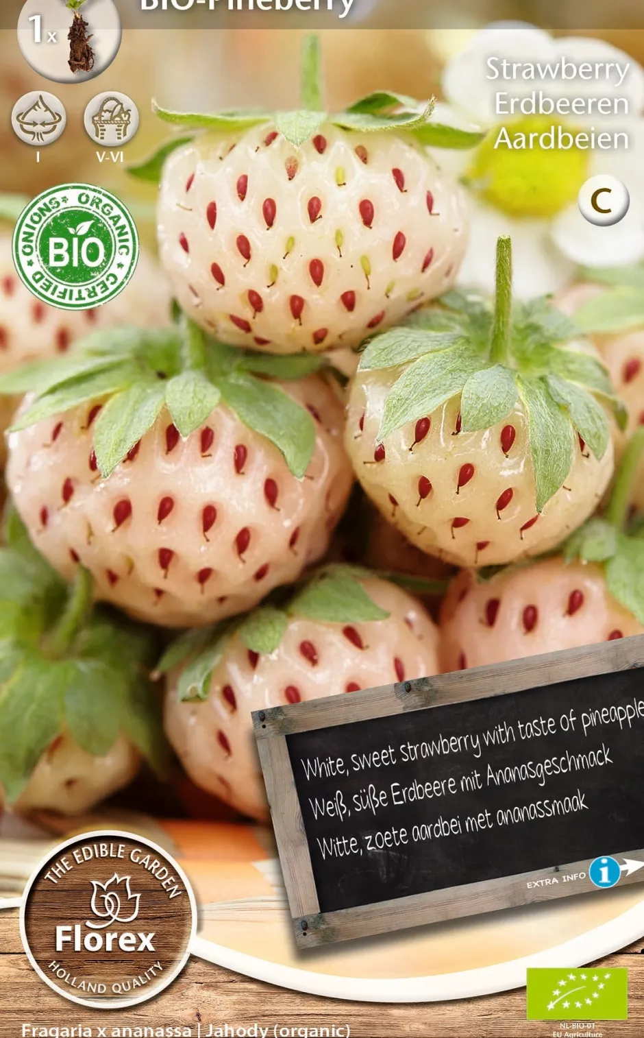 Intratuin Florex Bio Erdbeere weiß (Fragaria 'Pineberry') Samen| Obstsamen|Saatgut