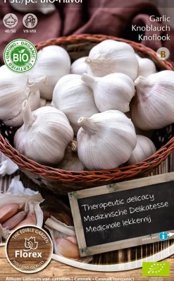 Intratuin Florex Bio Knoblauch (Allium 'Flavor') Samen| Gemüsesamen|Saatgut