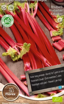 Intratuin Florex Bio Rhabarber (Rheum 'Champagne') Samen| Gemüsesamen|Saatgut