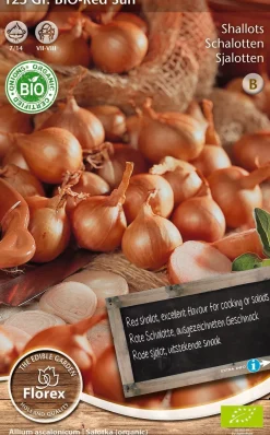 Intratuin Florex Bio Schalotten (Allium 'Red Sun') Samen 125 g| Gemüsesamen|Saatgut