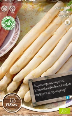 Intratuin Florex Bio Spargel (Asparagus 'Vegalim') Samen| Gemüsesamen|Saatgut