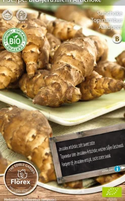 Intratuin Florex Bio Topinambur (Helianthus 'Jerusalem') Samen| Gemüsesamen|Saatgut