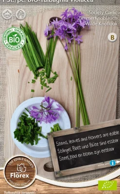 Intratuin Florex Bio Zimmerknoblauch (Tulbaghia violacea) Samen| Gemüsesamen|Saatgut