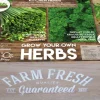 Intratuin Florex Farm Fresh Küchenkräuter Anzucht-Set| Kräutersamen|Saatgut