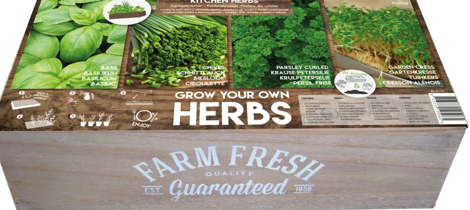 Intratuin Florex Farm Fresh Küchenkräuter Anzucht-Set| Kräutersamen|Saatgut