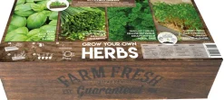 Intratuin Florex Farm Fresh Küchenkräuter Anzucht-Set| Kräutersamen|Saatgut