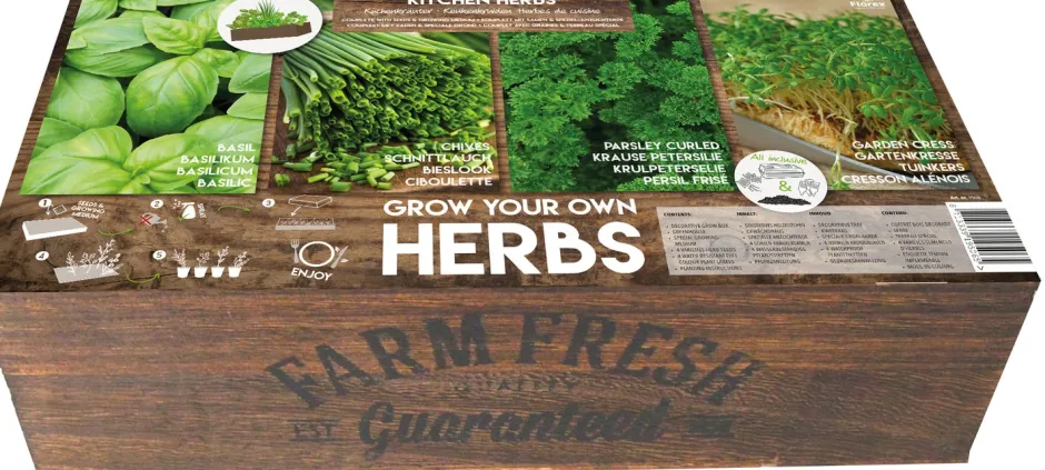 Intratuin Florex Farm Fresh Küchenkräuter Anzucht-Set| Kräutersamen|Saatgut