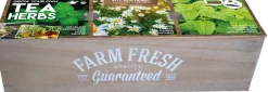 Intratuin Florex Farm Fresh Teekräuter Anzucht-Set| Kräutersamen|Saatgut