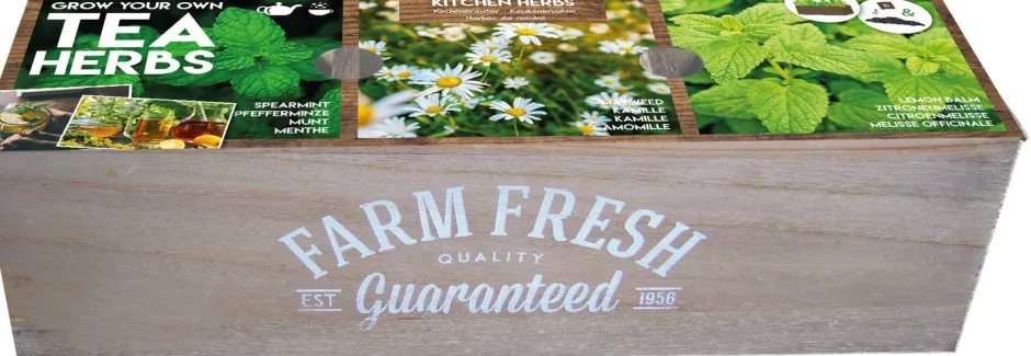 Intratuin Florex Farm Fresh Teekräuter Anzucht-Set| Kräutersamen|Saatgut