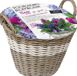 Intratuin Florex Korb mit 50 Blumenzwiebeln (vorgepflanzt) weiß| Blumenzwiebeln Im Topf|Blühende Pflanzen